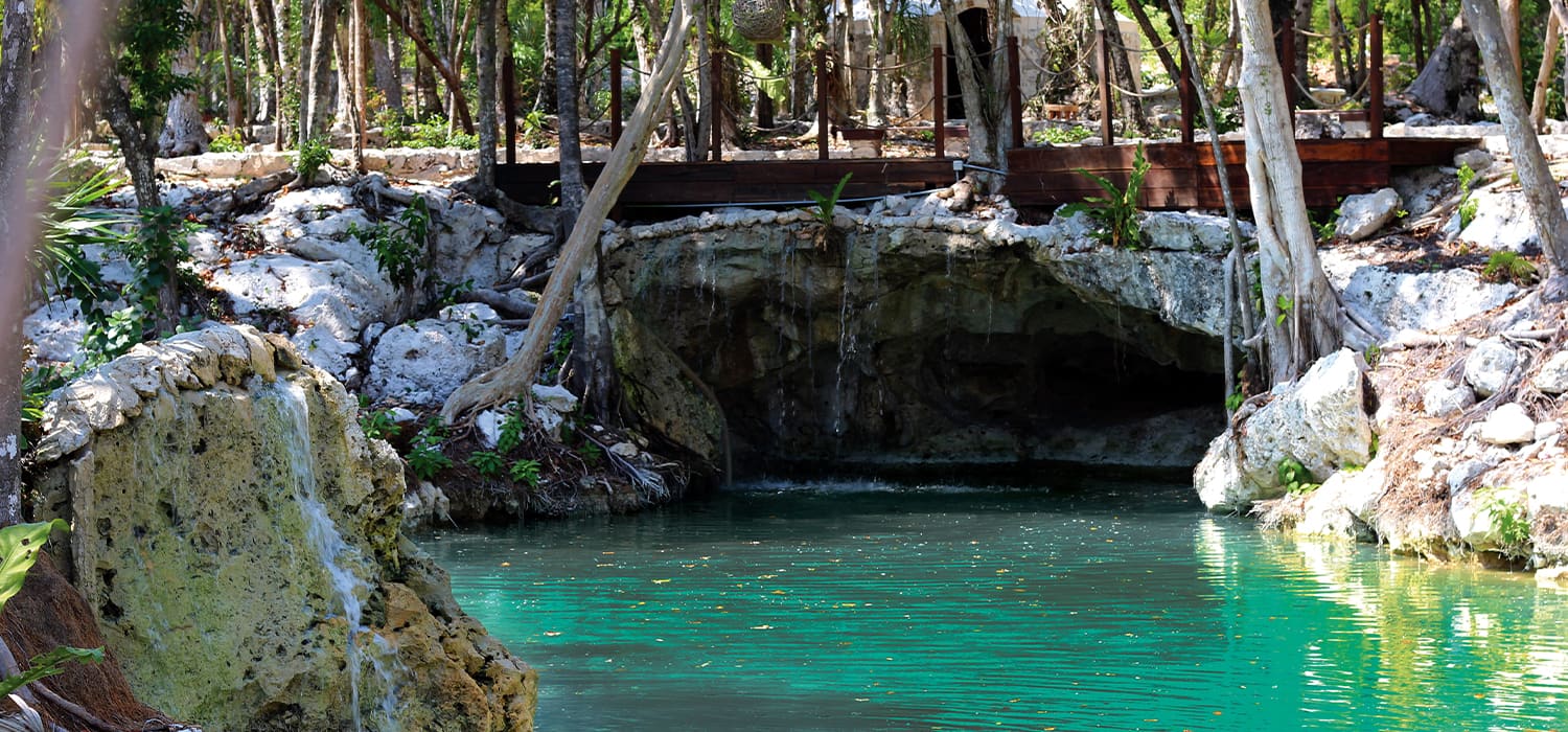 Las Olas